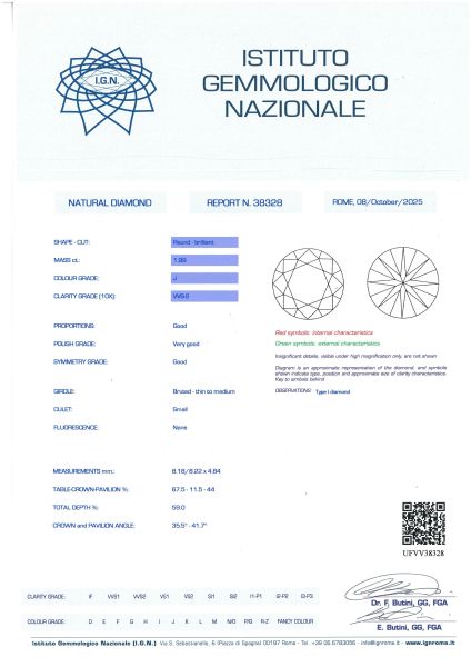 PAIO DI LUNGHI ORECCHINI CON DIAMANTI