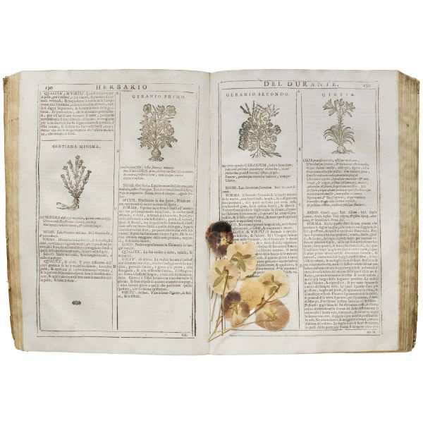 Durante, Castore. Herbario nuovo. Venezia, Hertz, 1718.