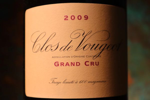 



Clos de Vougeot Domaine de la Vougeraie 2009