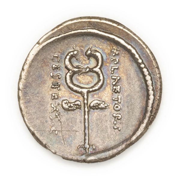 Plaetoria - Denario M. Plaetorius M.f. Cestianus (57 a.C.) - Zecca: Roma