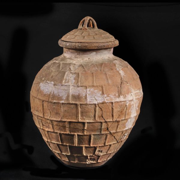 



DOLIUM CON COPERCHIO