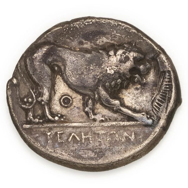 Velia - Nomos o Didramma (ca 340-334 a.C.)