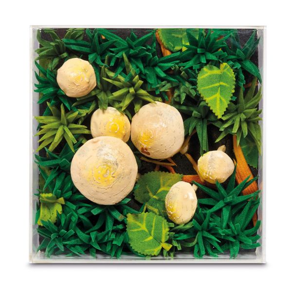 Piero Gilardi - 



PIERO GILARDI&nbsp; 