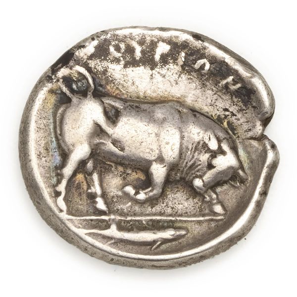 Thurium - Statere (410-400 a.C.)