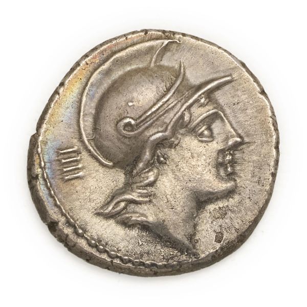 Satriena - Denario P. Satrienus. (77 a.C.) - Zecca: Roma