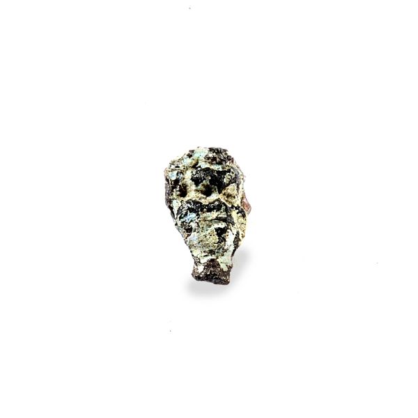 TESTINA ANTROPOMORFA