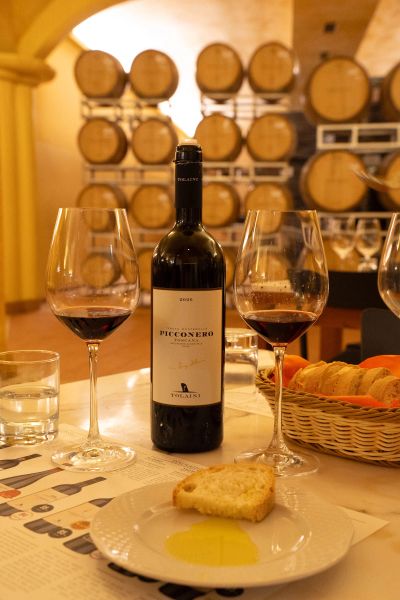 Tolaini, Castelnuovo Berardenga (SI)