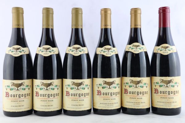 Bourgogne Pinot Noir Domaine J.-F. Coche Dury