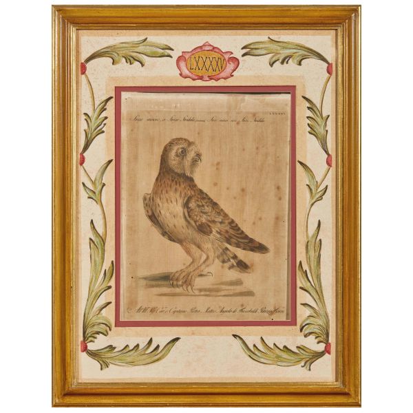 Saverio Manetti (1723 – 1785)