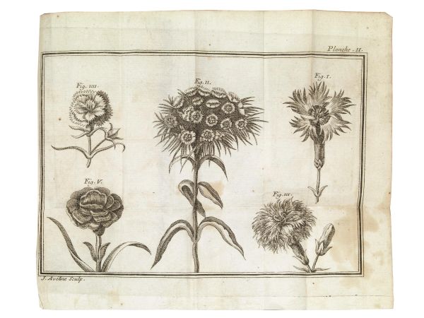 (Botanica) ARDENE, Jean Paul de Rome d'. Trait&eacute; des &#339;illets par l&rsquo;auteur du trait&eacute; des ranoncules imprim&eacute; &agrave; Paris chez Lottin. A Avignon, chez Louis Chambeau, 1762.