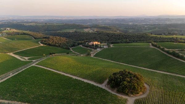Tolaini, Castelnuovo Berardenga (SI)