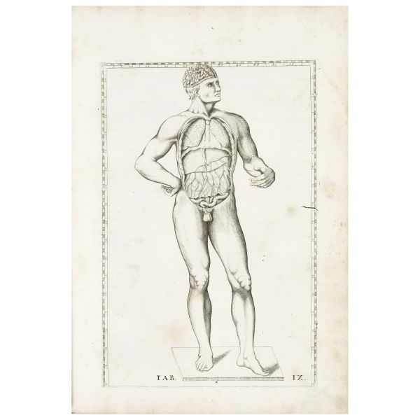 Eustachi, Bartolomeo. Tabulae Anatomicae. Roma, Pagliarini, 1728.