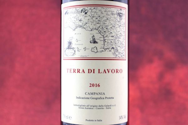 Terra di Lavoro Galardi 2016