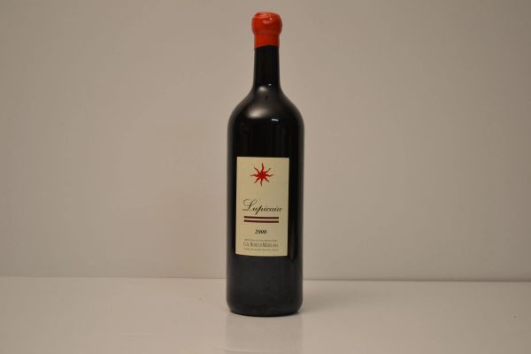 Lupicaia Castello del Terriccio 2000