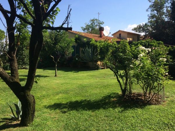 FABRIZIA SCASSELLATI SFORZOLINI