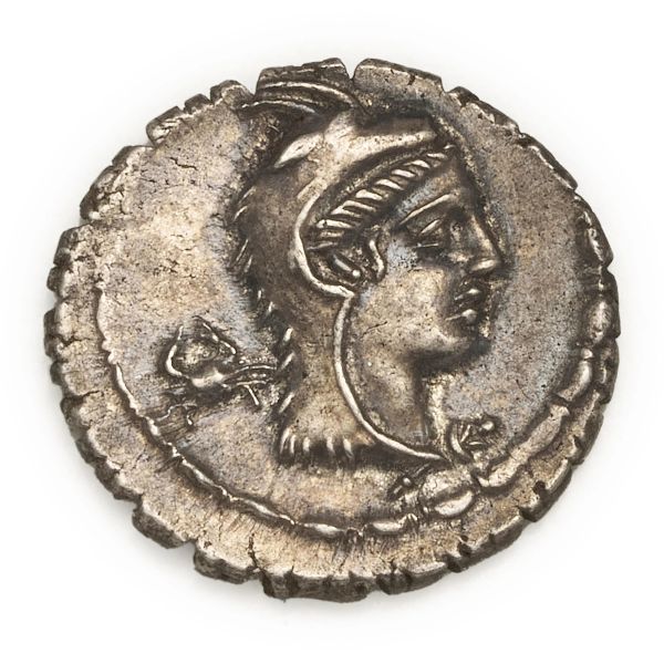 



Papia - Denario L. Papius (79 a.C.) - Zecca: Roma