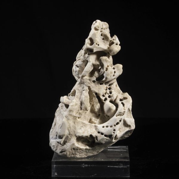 



FRAMMENTO DI CAPITELLO
