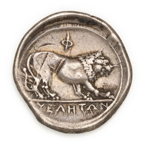 Velia - Nomos o Didramma (ca 365-340 a.C.)