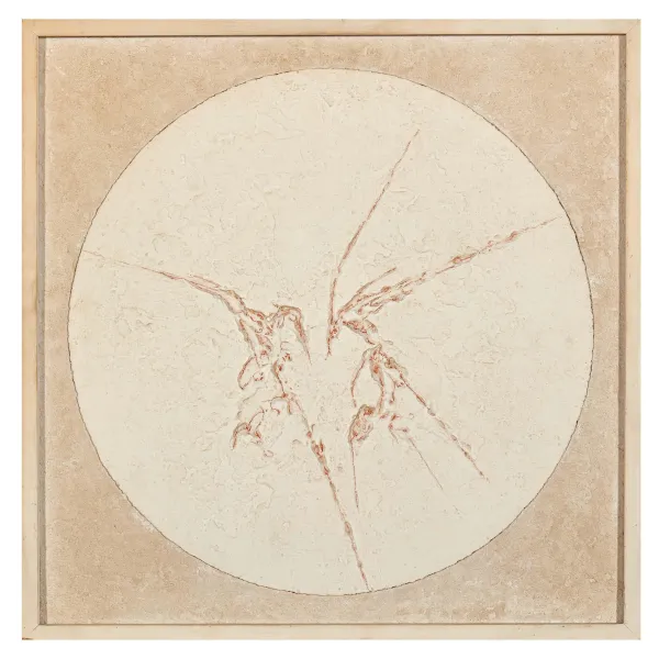 Elio Marchegiani - 



ELIO MARCHEGIANI 