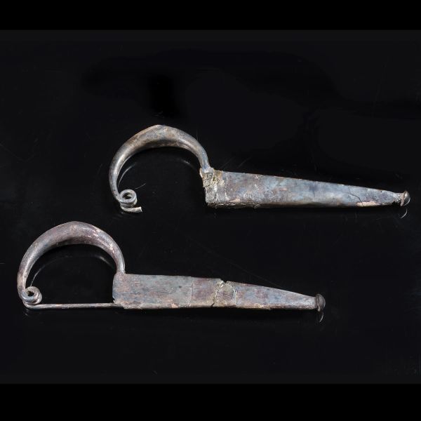 



COPPIA DI GRANDI FIBULE