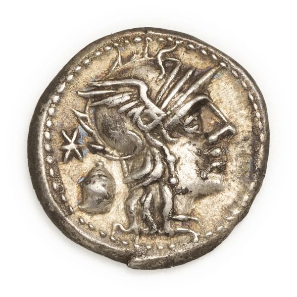 



Cassia - Denario C. Cassius Longinus (126 a.C.) - Zecca: Roma