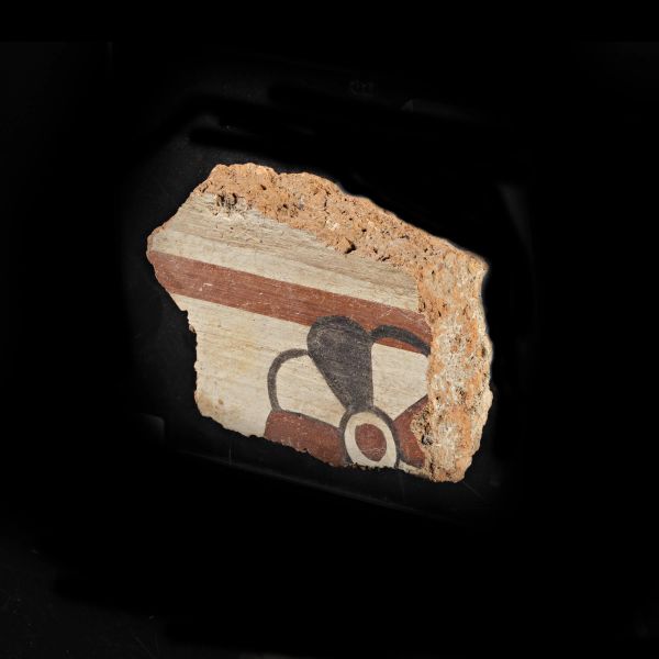 FRAMMENTO PARIENTALE