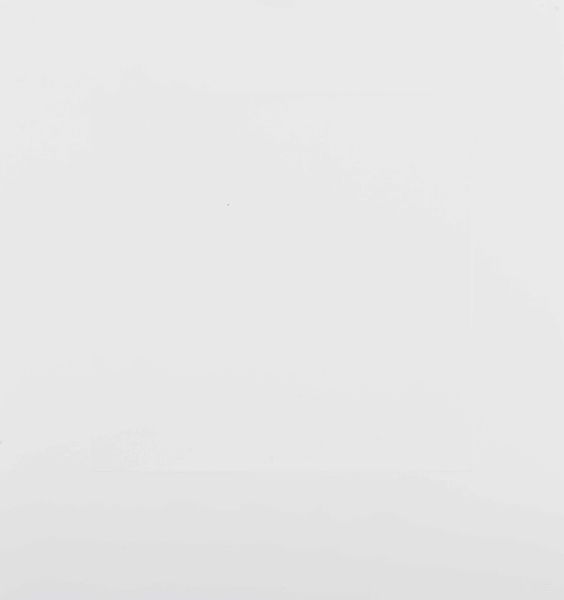 ARTISTA ATTIVO NEL XX SECOLO