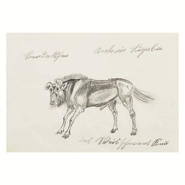 Antonio Ligabue - ANTONIO LIGABUE