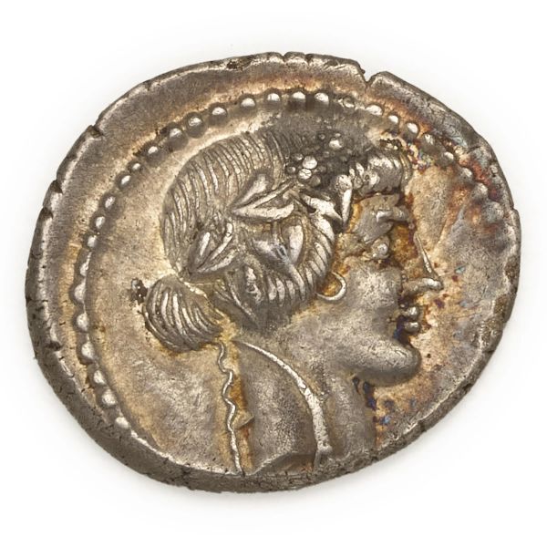 



Vibia - Denario C. Vibius Varus (42 a.C.) - Zecca: Roma