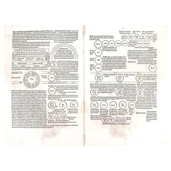 



One of the most popular books of the late fifteenth century