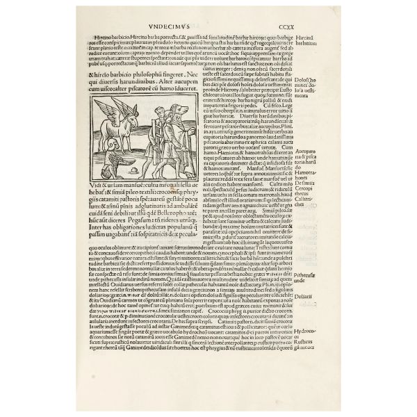 Prima edizione illustrata delle Metamorfosi o Asino d'Oro