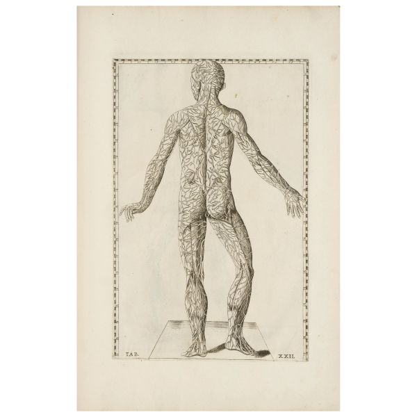 Edition increased by 26 plates compared to that of 1769