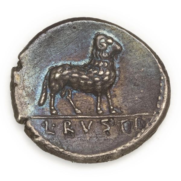 Rustia - Denario L. Rustius (74 a.C.) - Zecca: Roma