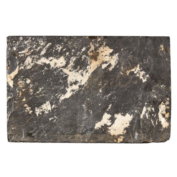 Pittore olandese attivo a Roma, sec. XVII