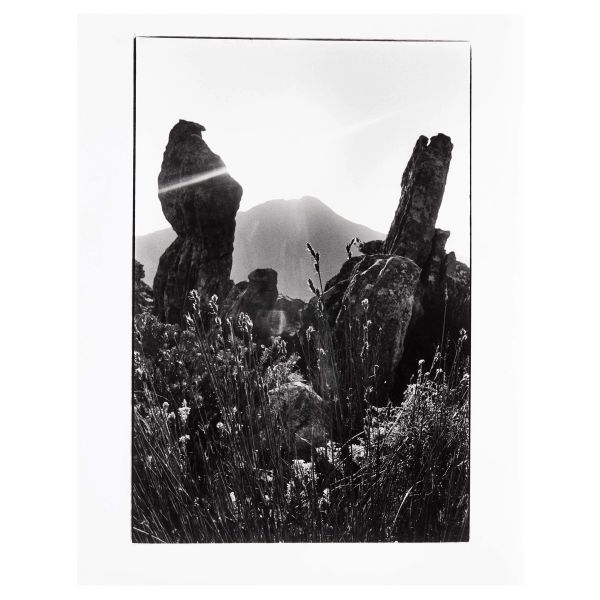 Luciano Ricci - 



CORNELIUS HANSEN