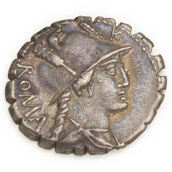 



Poblicia - Denario serrato C. Poblicius Q. f. (80 a.C.) - Zecca: Roma