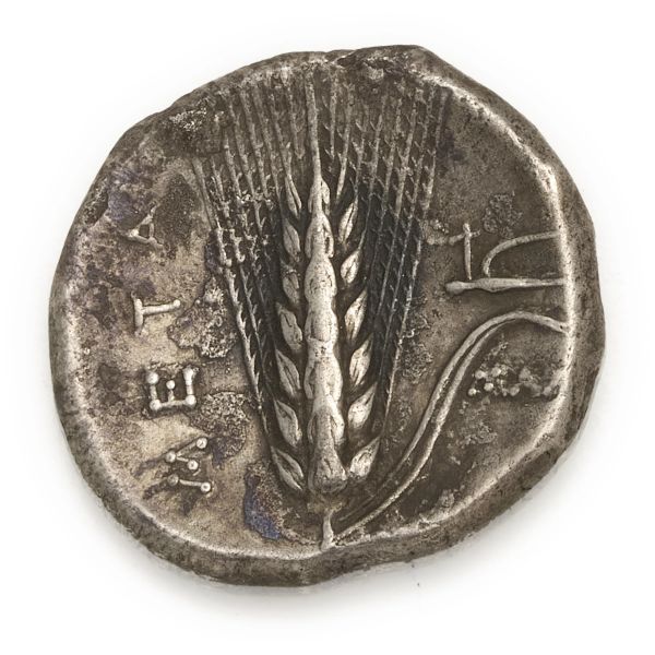 Metapontium - Statere (330-300 a.C.)