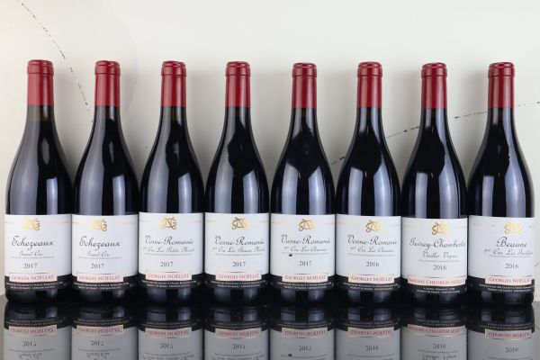 Selezione Domaine Georges Noëllat