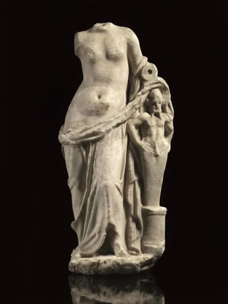 VENERE                                                                    