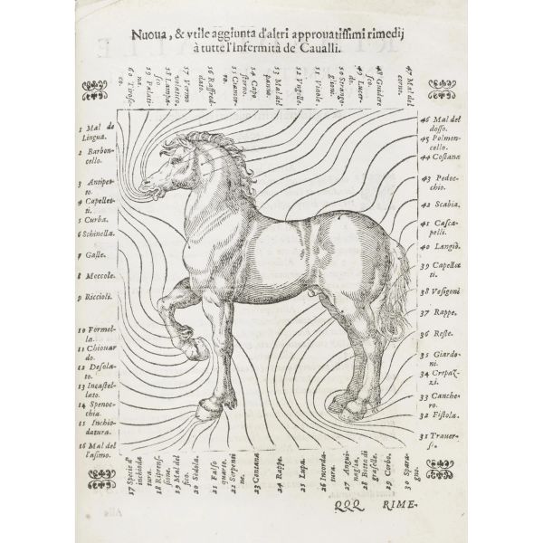 Caracciolo, Pasquale. La gloria del cavallo. Venezia, Moretti, 1589.