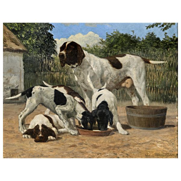 



Adolf Heinrich-Hansen