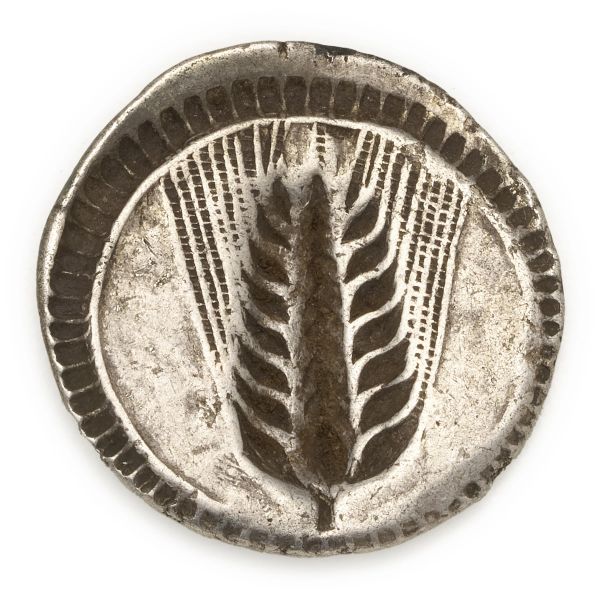 Metapontium - Statere (ca. 540-510 a.C.)