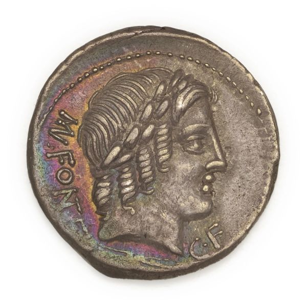 



Fonteia - Denario Mn. Fonteius C.f (85&nbsp; a.C.)&nbsp; - Zecca: Roma