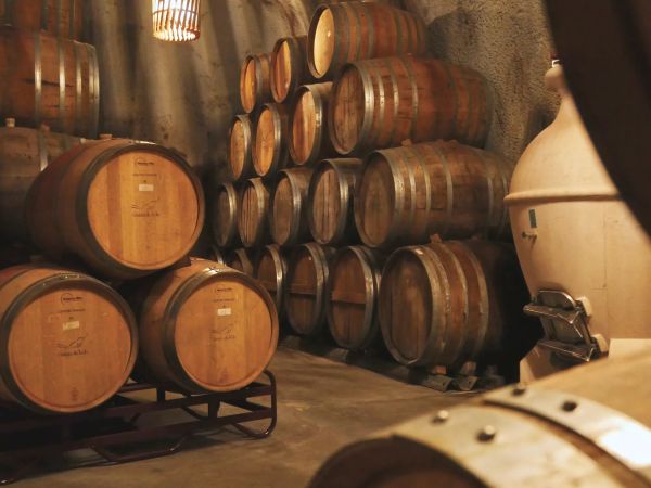 Quinta do Tedo valle del Douro, Portogallo