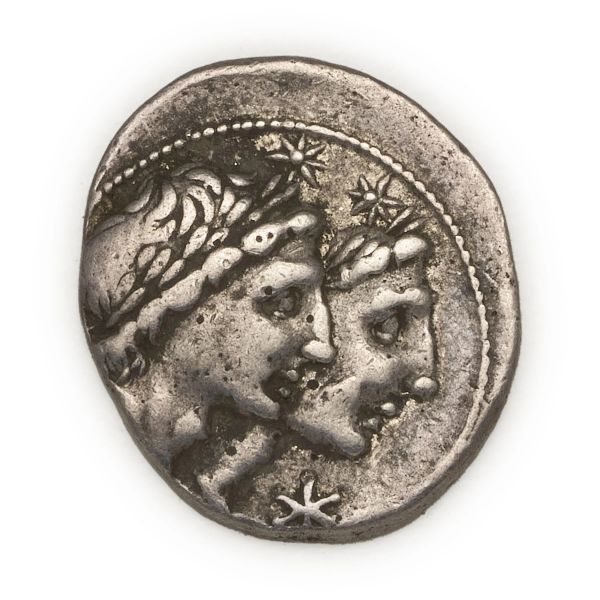 



Fonteia - Denario Mn Fonteius (108-107 a.C.) - Zecca: Roma