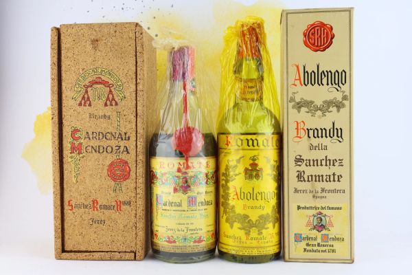 



Selezione Brandy Cardenal Mendoza