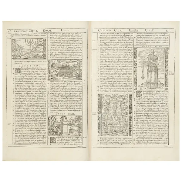 First illustrated edition issued by the heirs of the Bevilacqua for the famous Louvain Bible.
