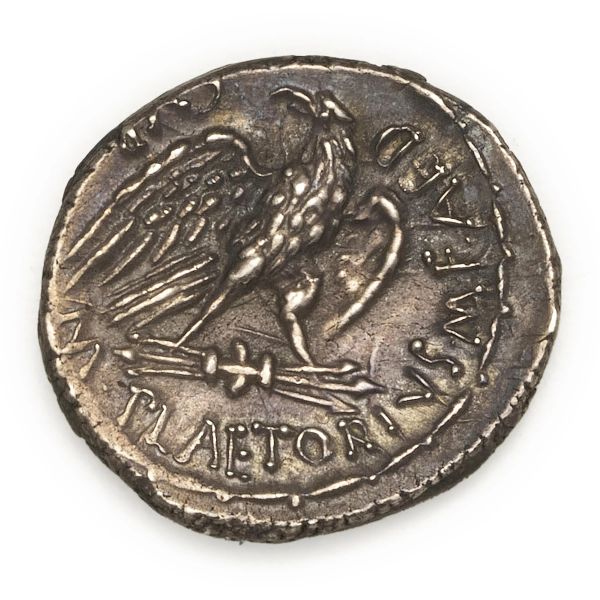 Plaetoria - Denario M. Plaetorius Cestianus (67 a.C.) - Zecca: Roma