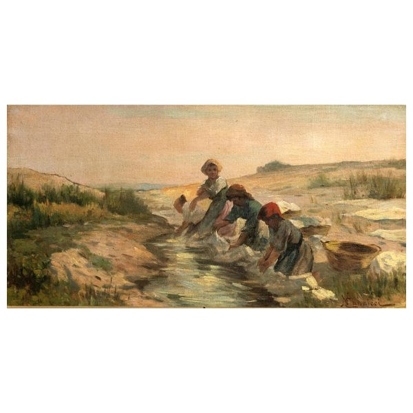 



Niccol&ograve; Cannicci 