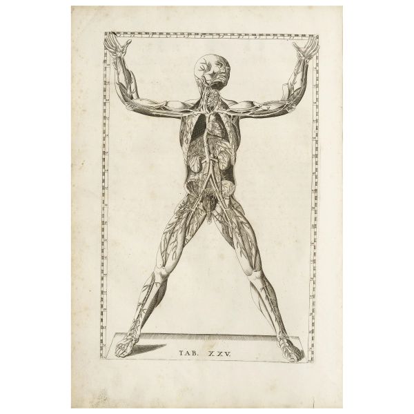 Eustachi, Bartolomeo. Tabulae Anatomicae. Roma, Pagliarini, 1728.